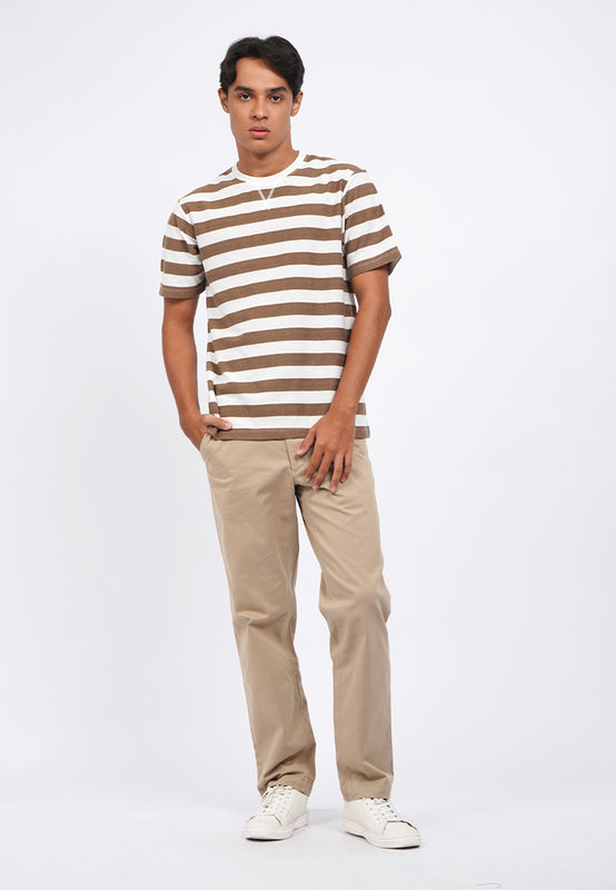 Regular Fit Straight Chinos Pants