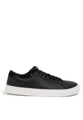 Sneaker Shoes