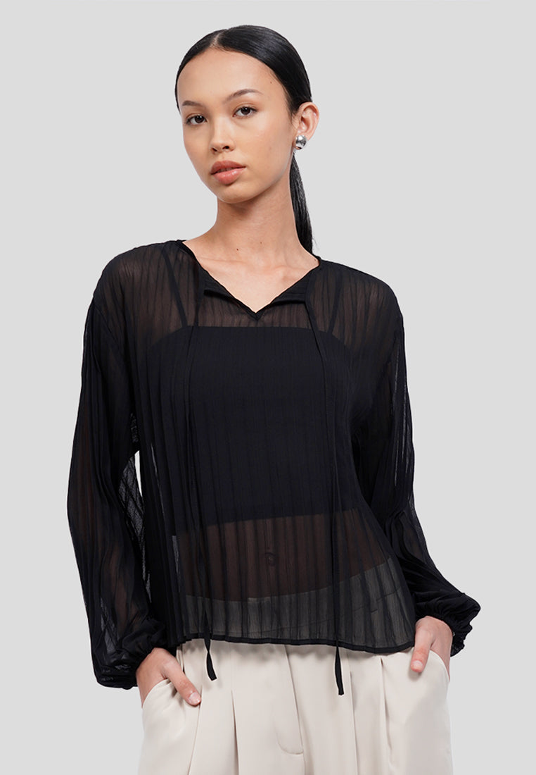 Front Tie Long Sleeve Sheer Blouse