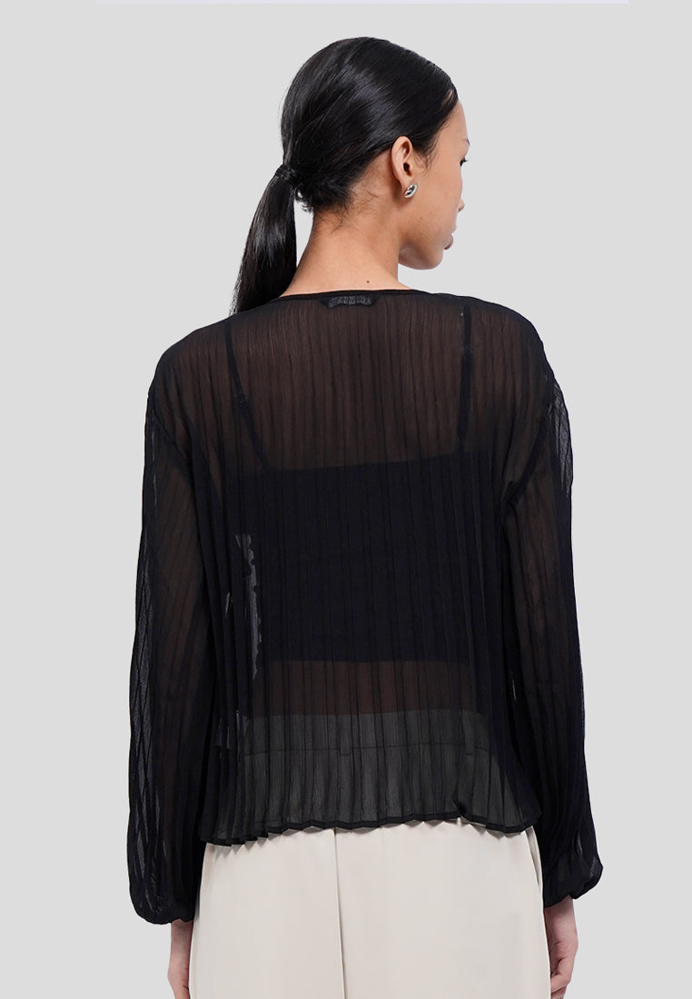Front Tie Long Sleeve Sheer Blouse