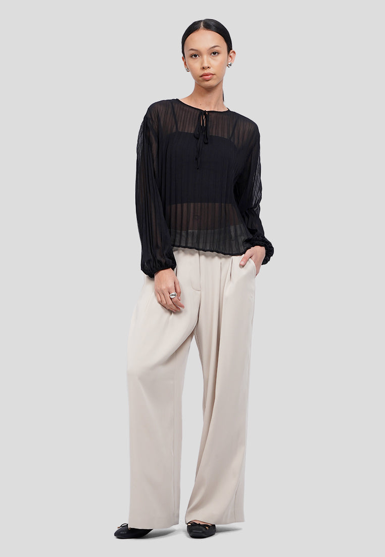 Front Tie Long Sleeve Sheer Blouse