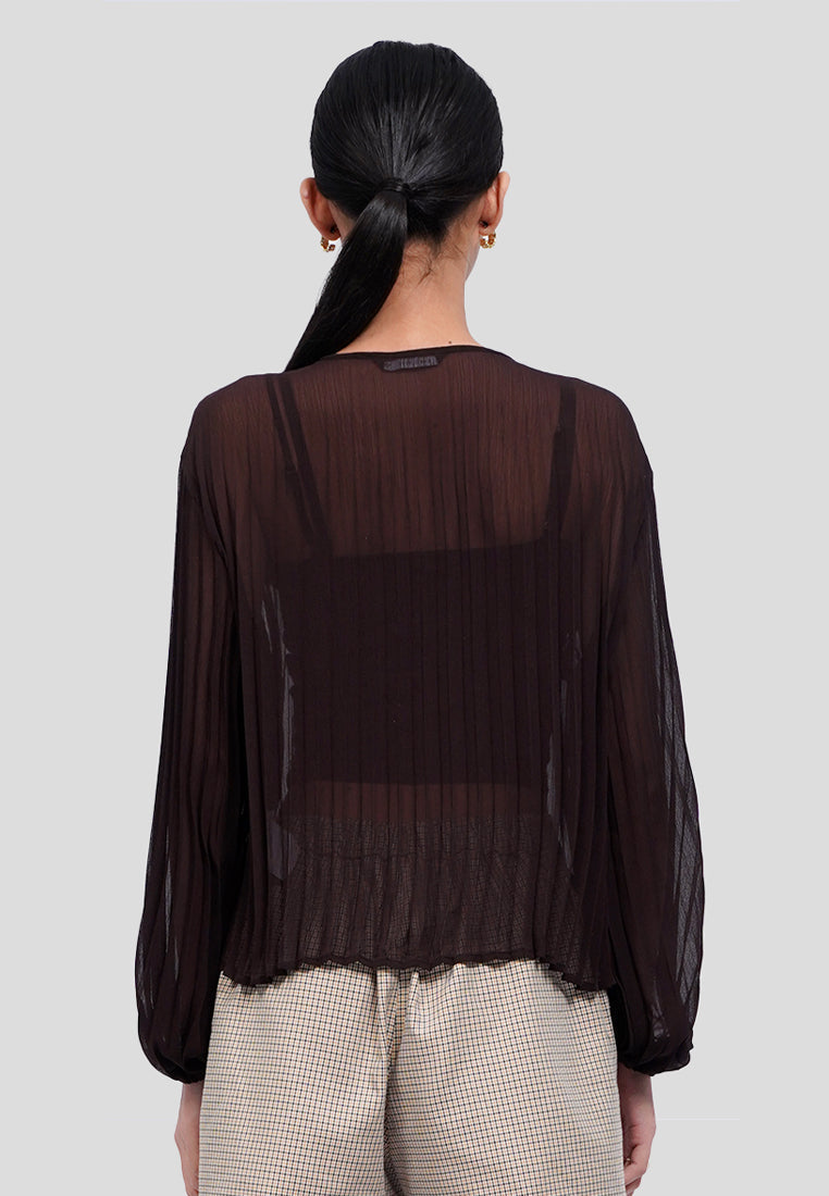 Front Tie Long Sleeve Sheer Blouse