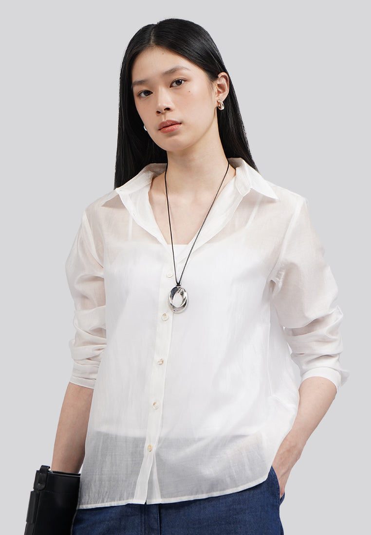 Long Sleeve Sheer Shirt