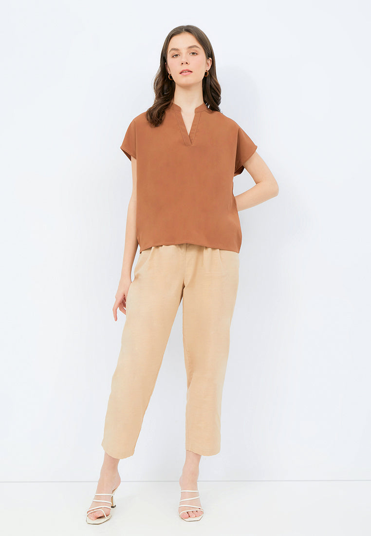 Short Sleeve V-neck Blouse