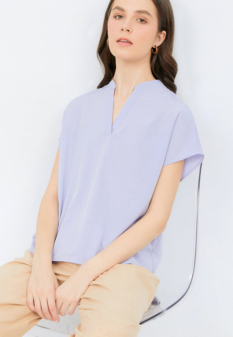 Short Sleeve V-neck Blouse