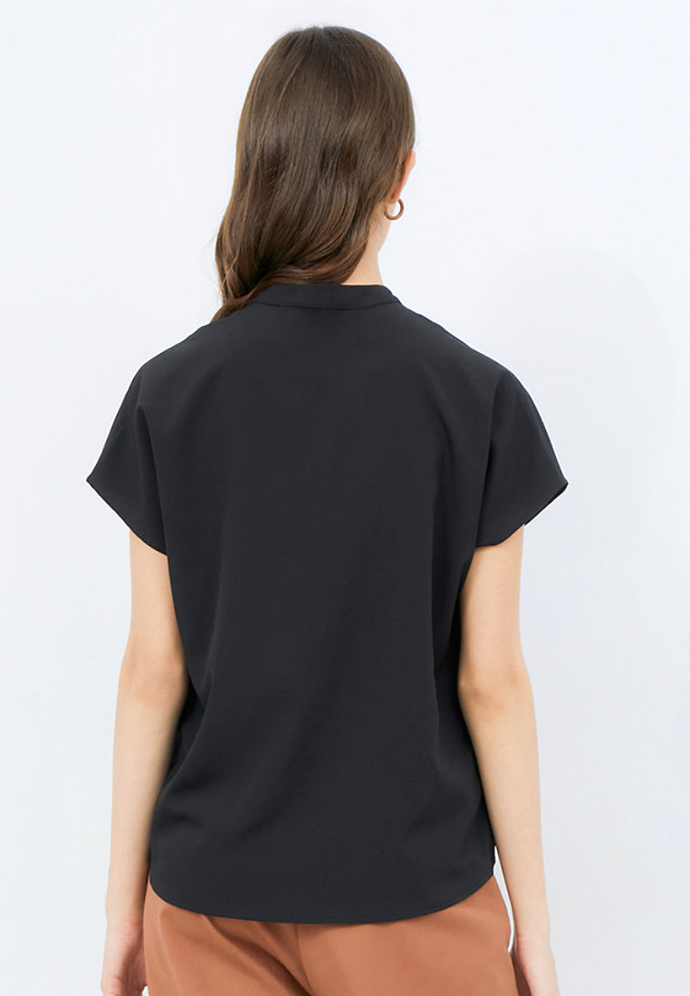 Short Sleeve V-neck Blouse