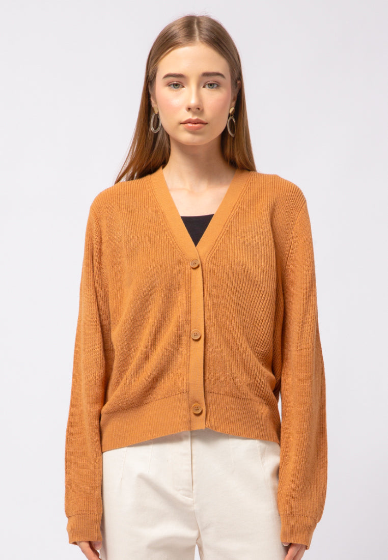 Regular Fit V-Neck Cardigan