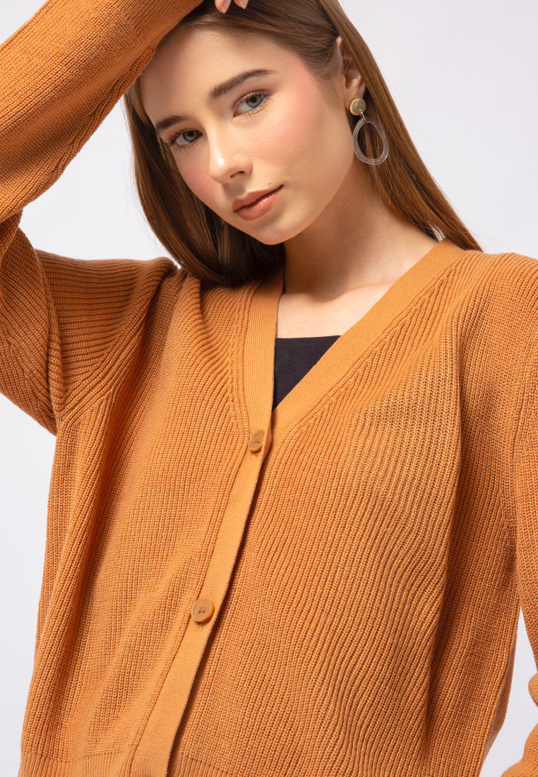 Regular Fit V-Neck Cardigan