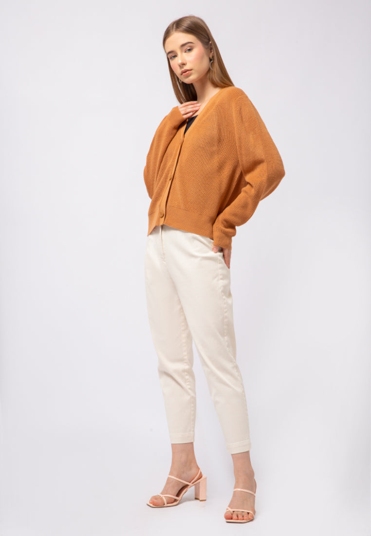 Regular Fit V-Neck Cardigan