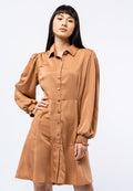 Long Sleeves Mini Dress