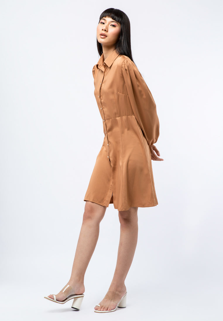 Long Sleeves Mini Dress