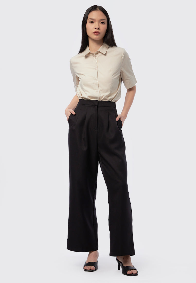 Pleated Wide Leg Pants