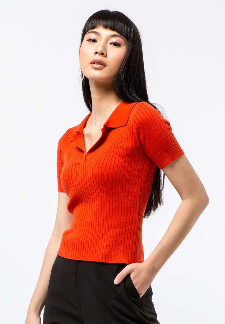 Fitted Knit Polo Top
