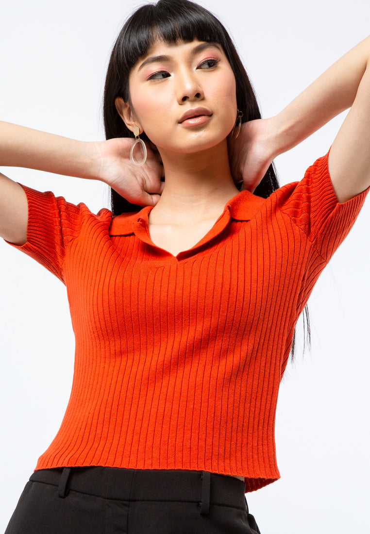 Fitted Knit Polo Top
