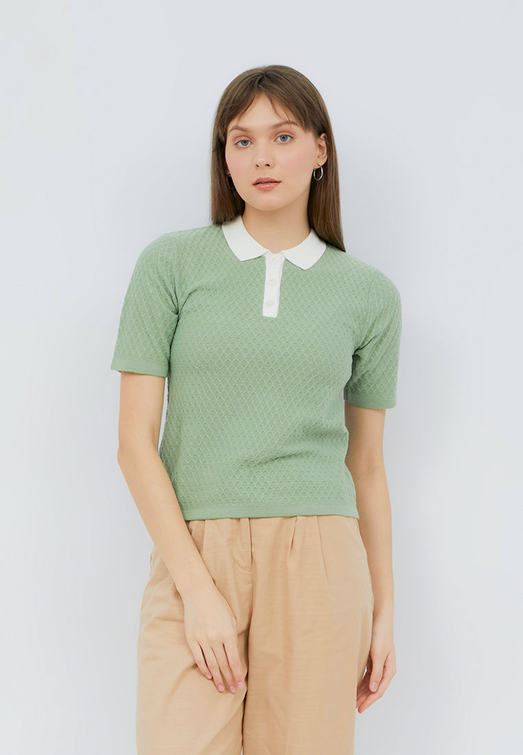 Contrast Collar Polo Shirt