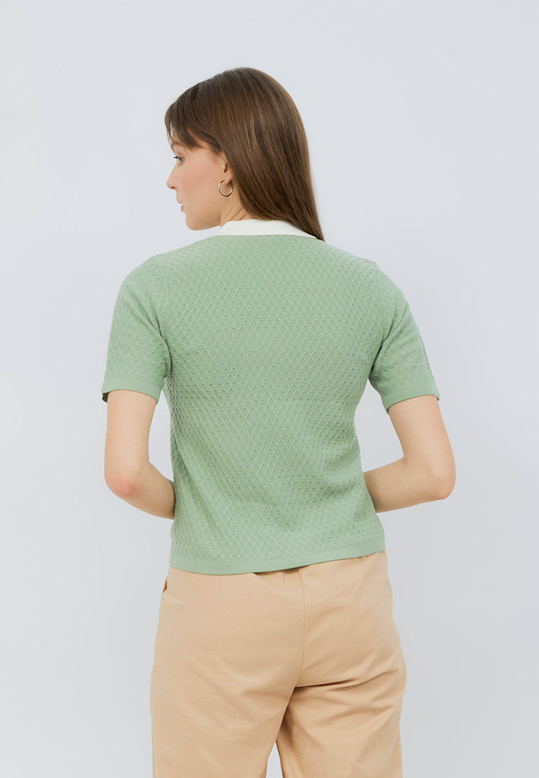Contrast Collar Polo Shirt
