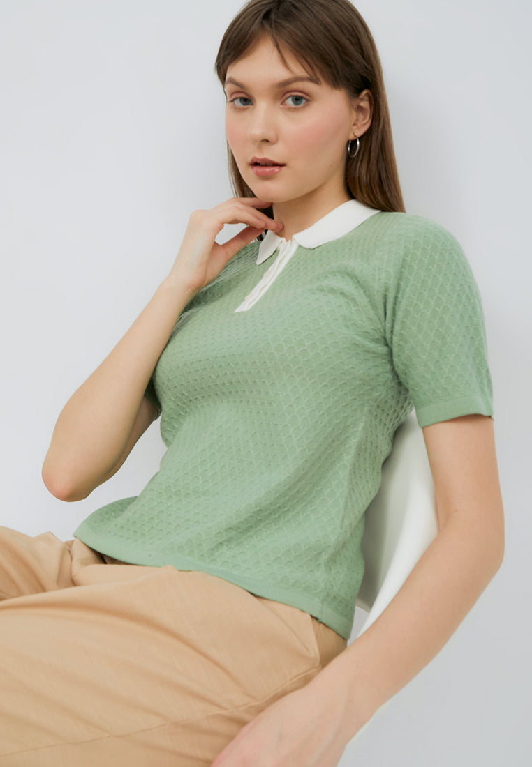 Contrast Collar Polo Shirt