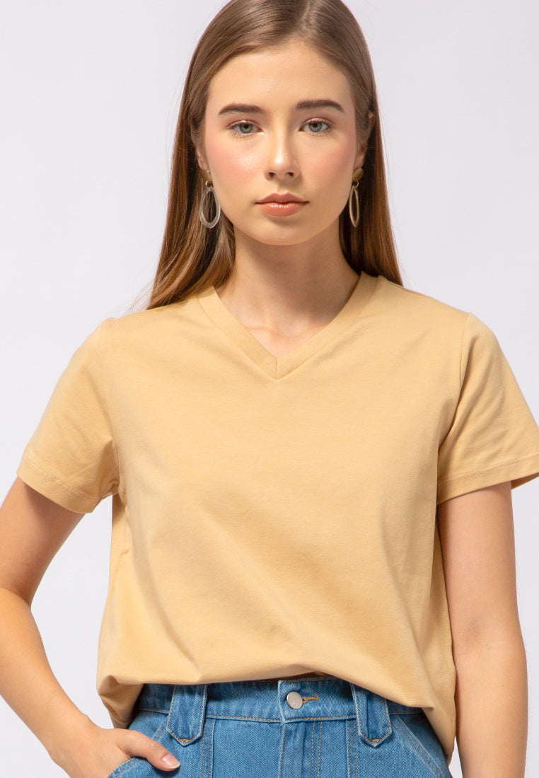 Regular Fit V-Neck T-shirt