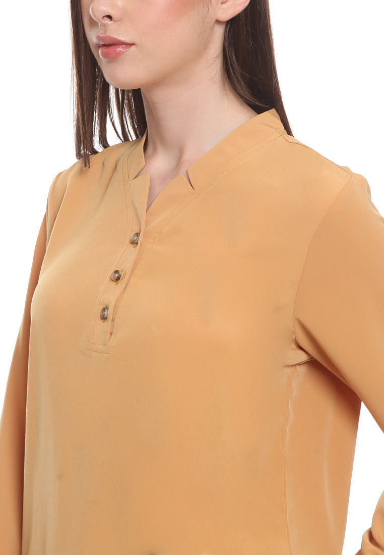 V-neck blouse