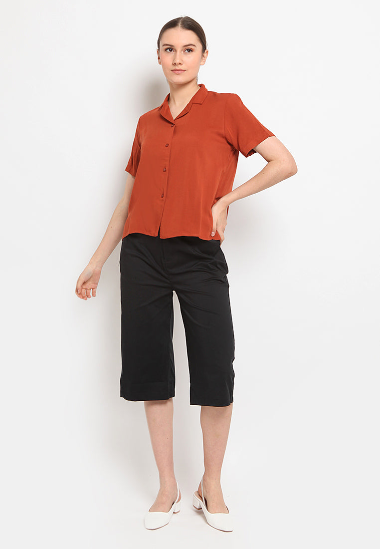 Open collar short sleeve shirt