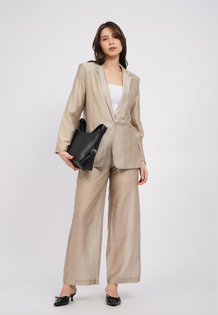 Long Sleeve Sheer Blazer
