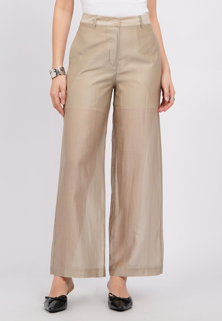 Sheer Long Pants