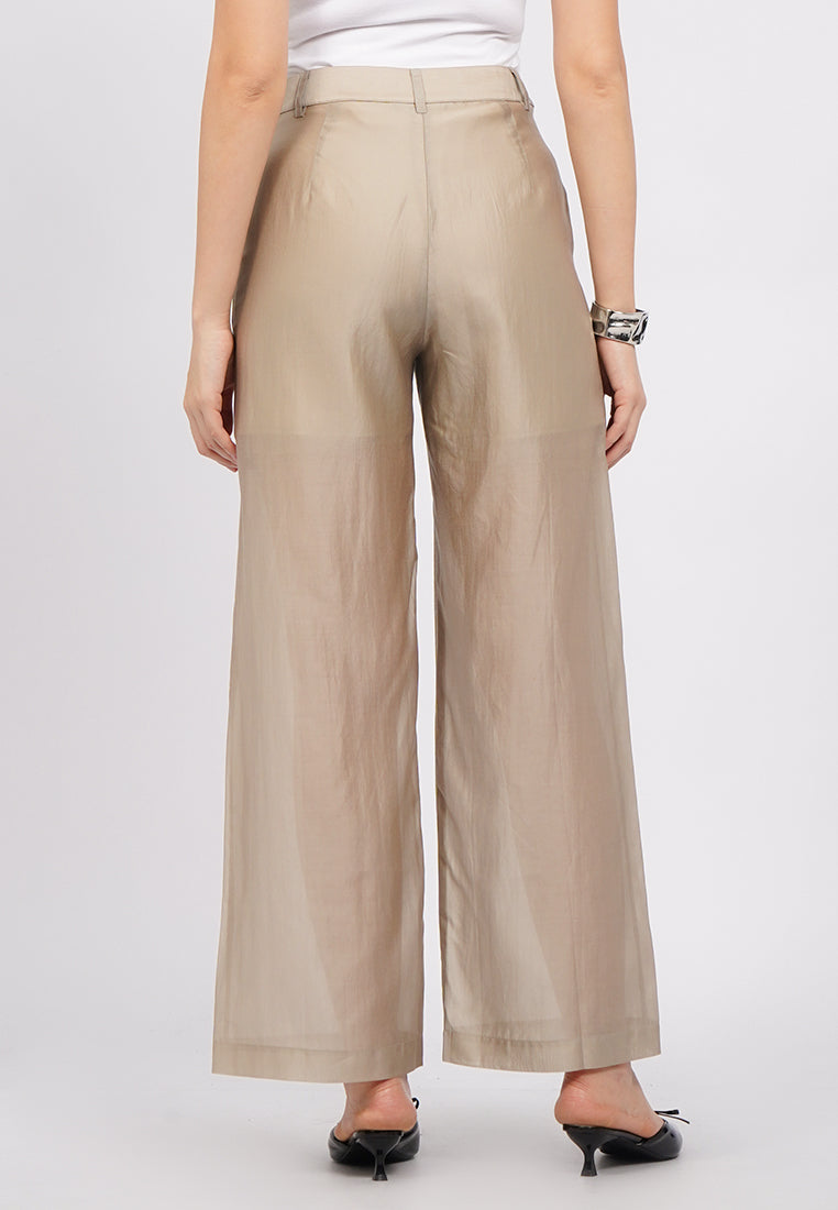 Sheer Long Pants