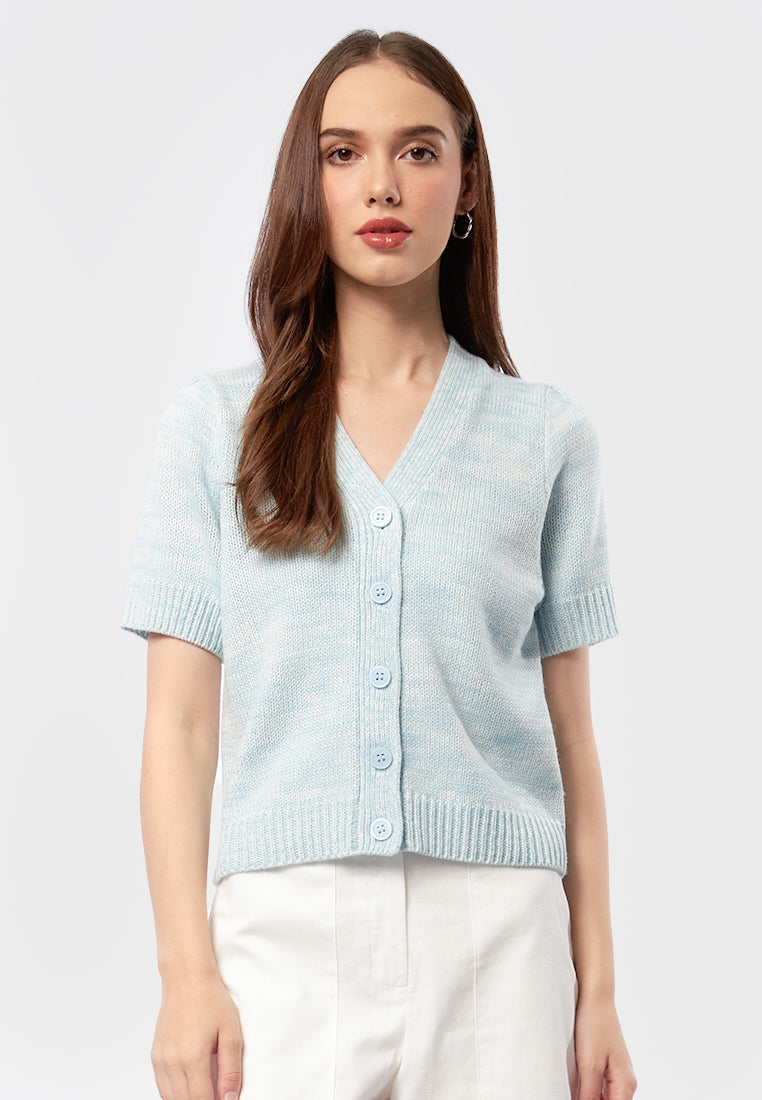 Short Sleeve V-Neck Knit Top