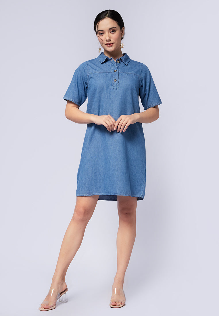 Mini Denim Dress with Button Details