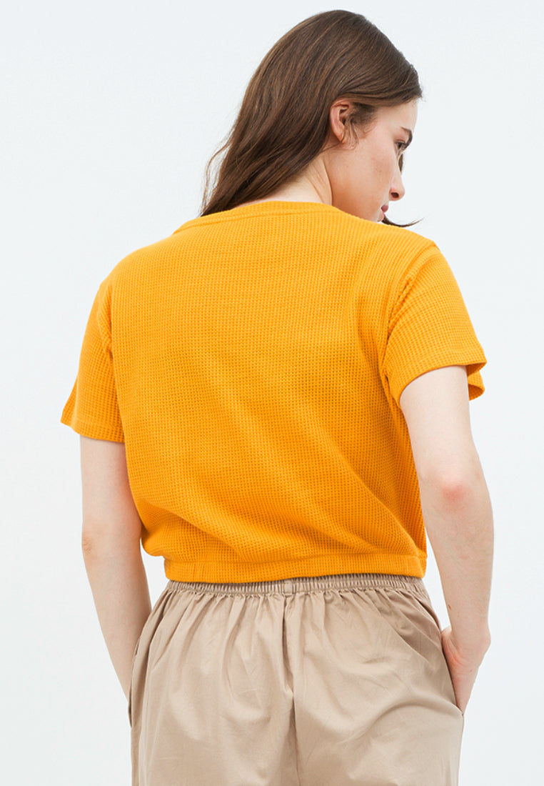 Cropped Knit Top