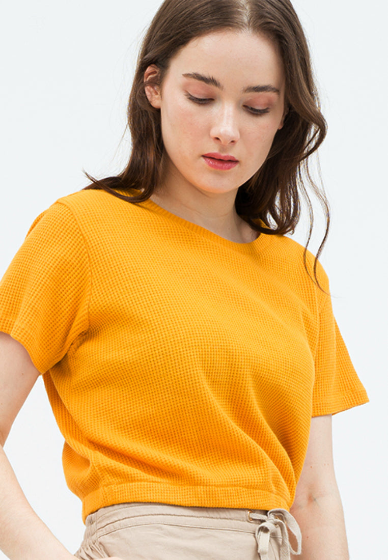 Cropped Knit Top