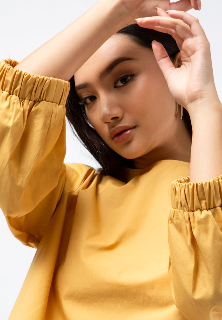 Balloon Sleeve Poplin Blouse