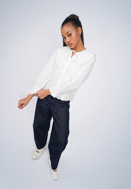 Long Sleeve Peterpan Collar Blouse