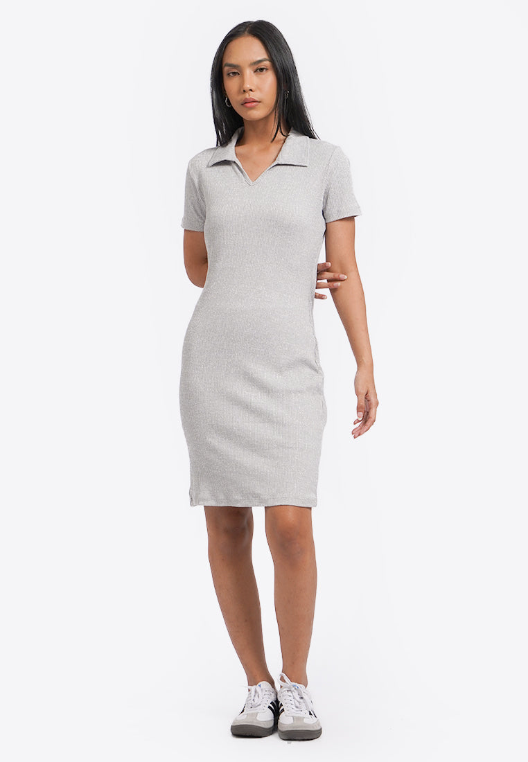 Fitted Short Sleeve Mini Dress