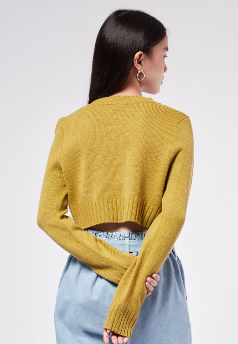 Cropped V-Neck Sweater