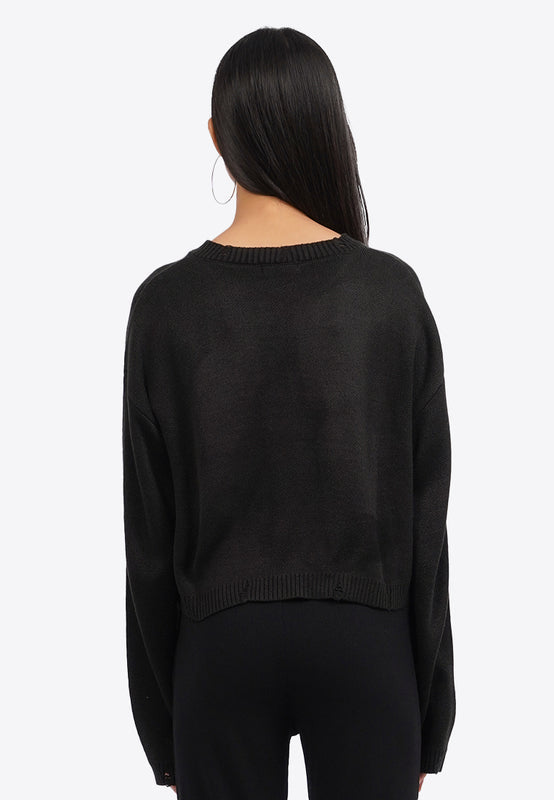 Long Sleeve Distressed Crop Sweater
