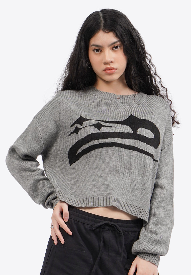 Long Sleeve Distressed Crop Sweater