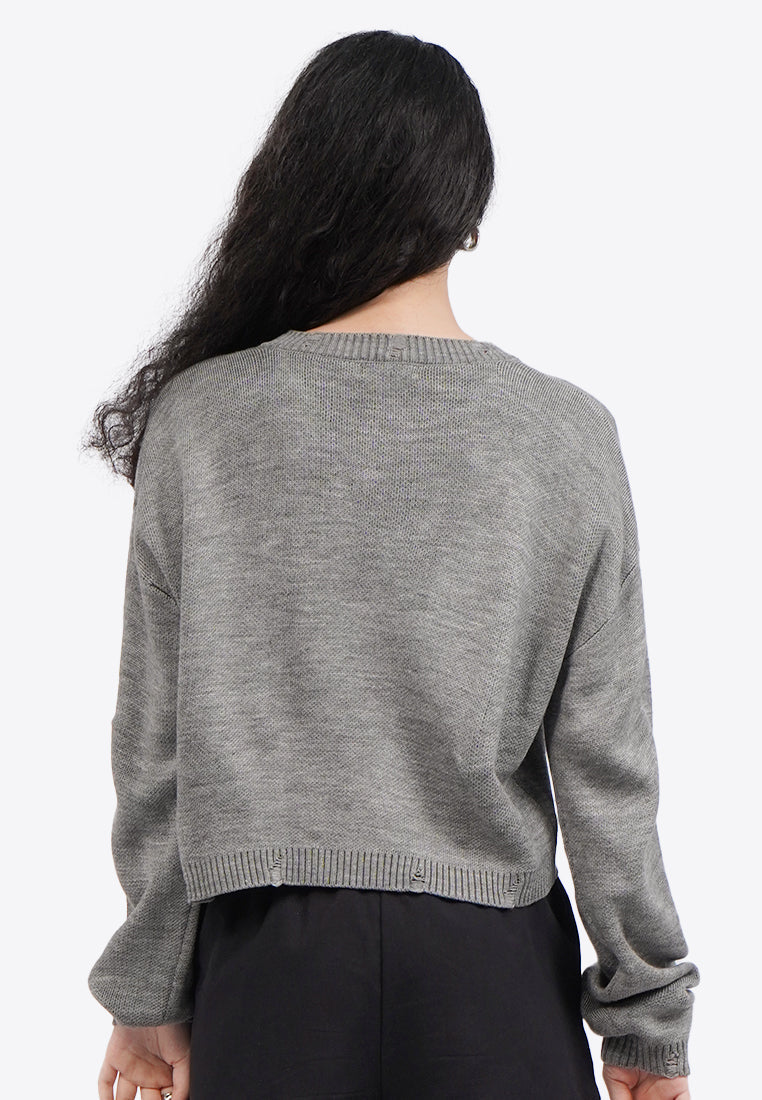Long Sleeve Distressed Crop Sweater