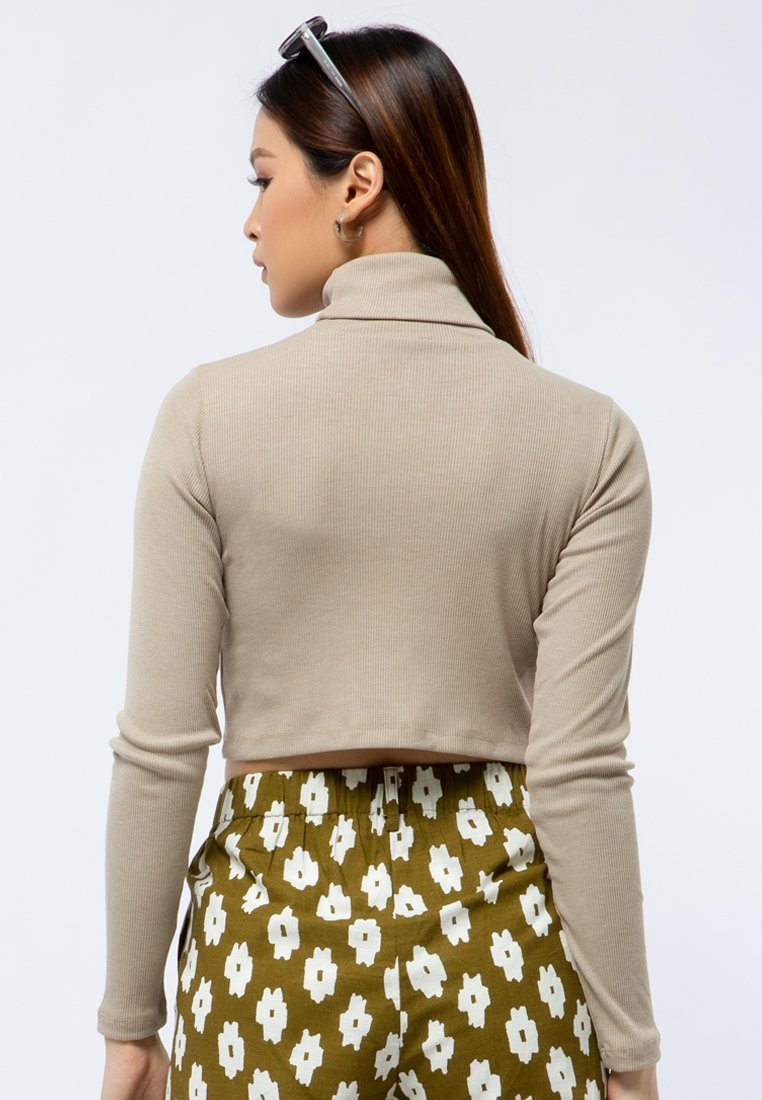 High Neck Long Sleeve Crop Top