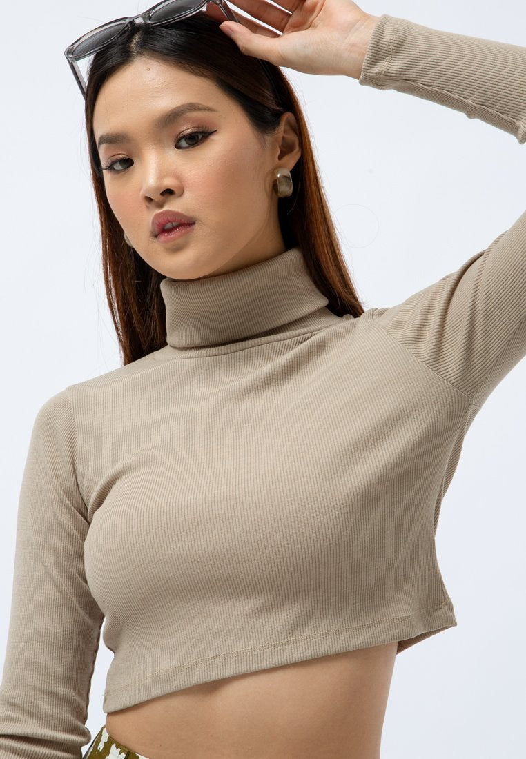 High Neck Long Sleeve Crop Top