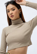 High Neck Long Sleeve Crop Top