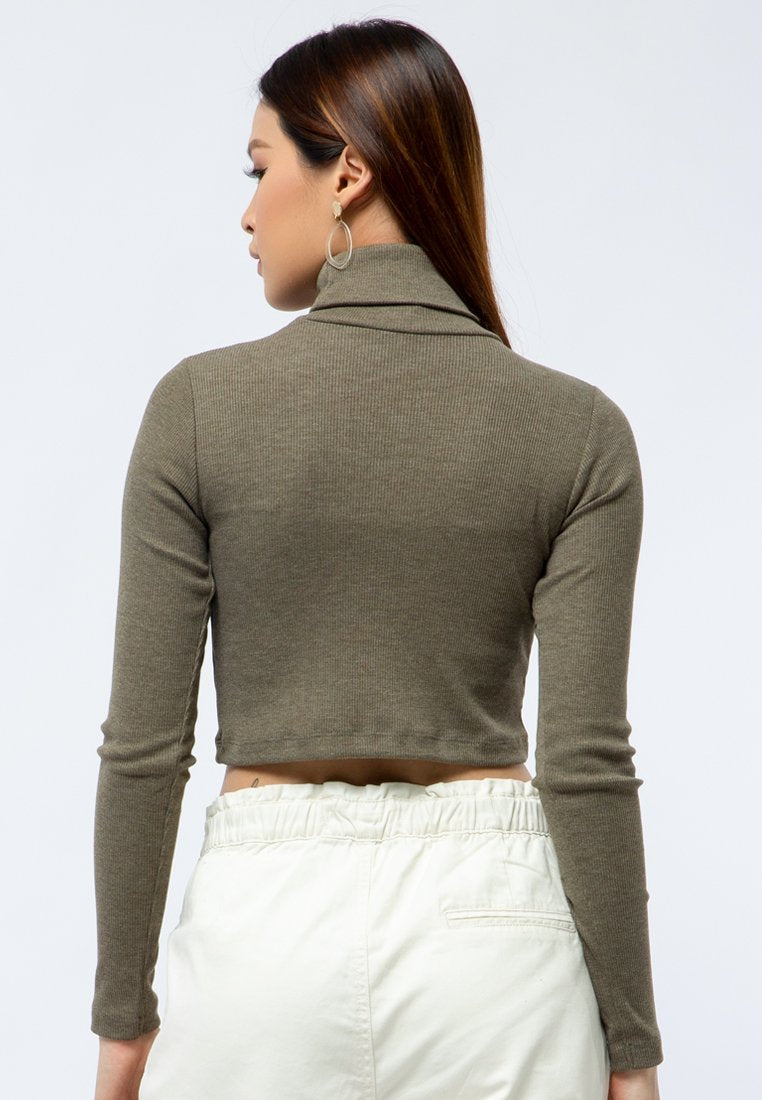 High Neck Long Sleeve Crop Top