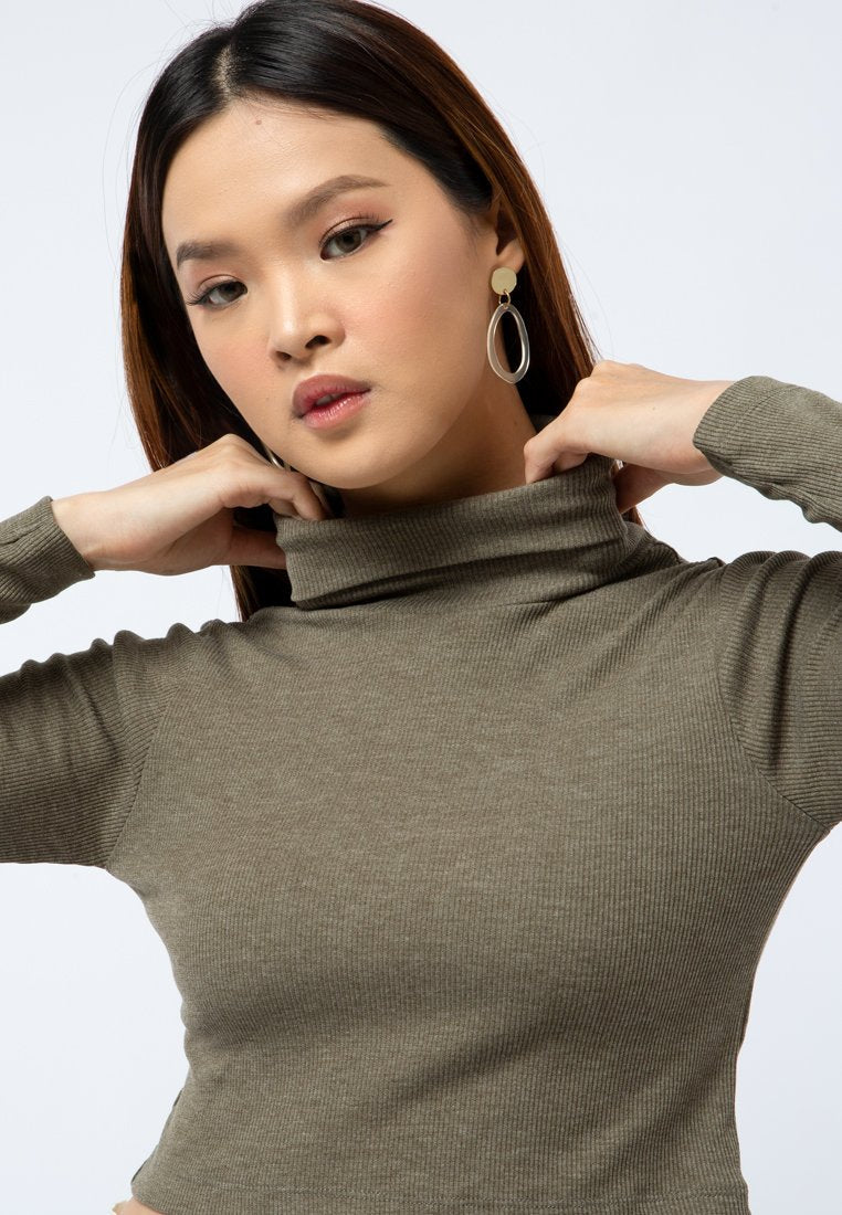 High Neck Long Sleeve Crop Top
