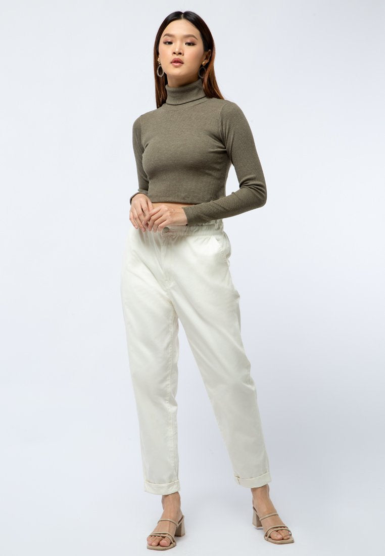 High Neck Long Sleeve Crop Top
