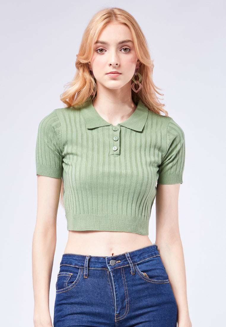 Short Sleeve Fitted Polo Shirt