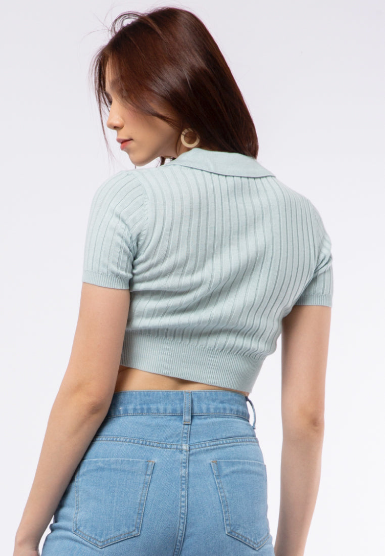 Fitted Knit Polo Top