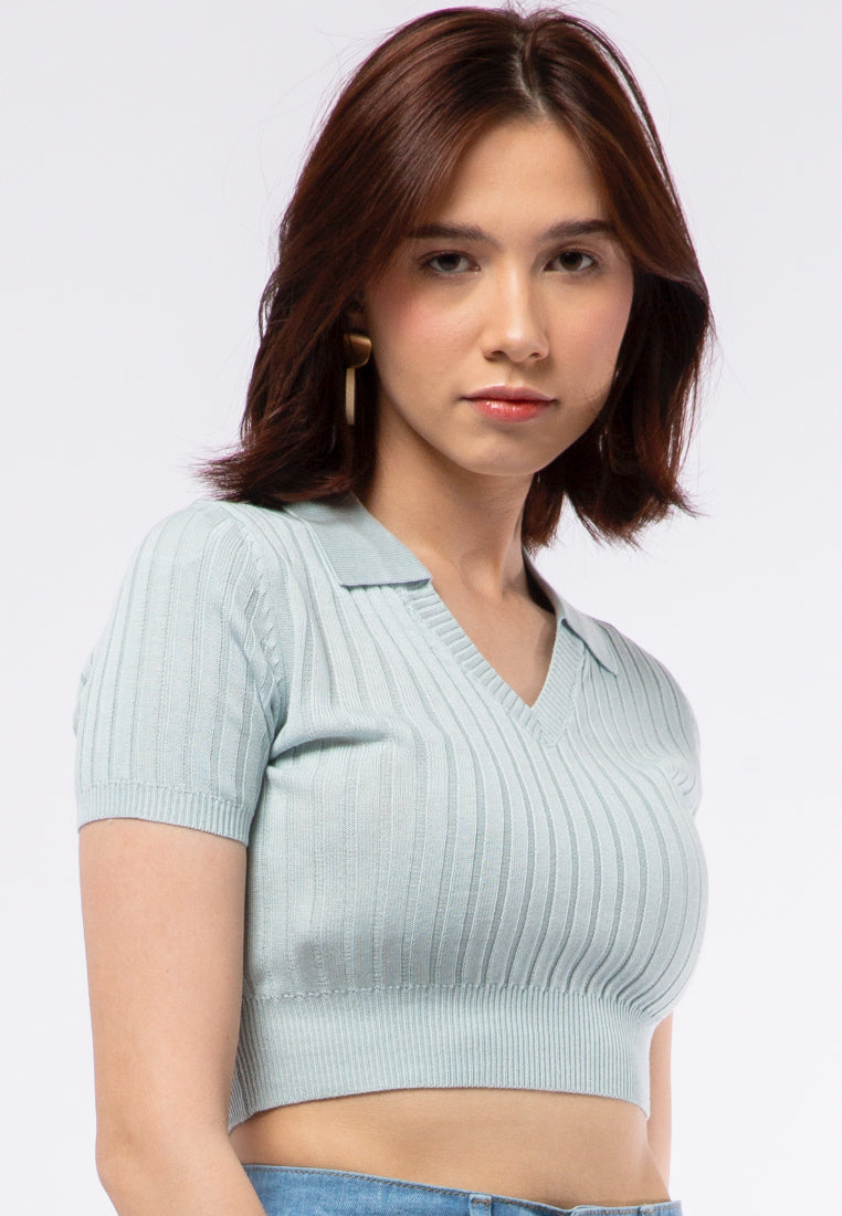 Fitted Knit Polo Top
