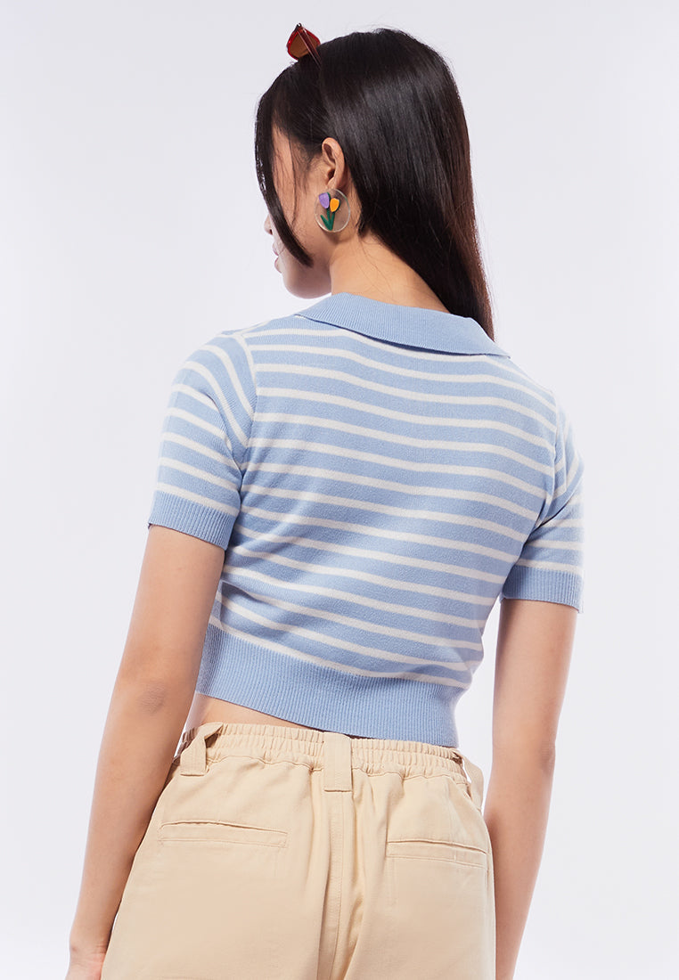 Crop Stripe Knit Top