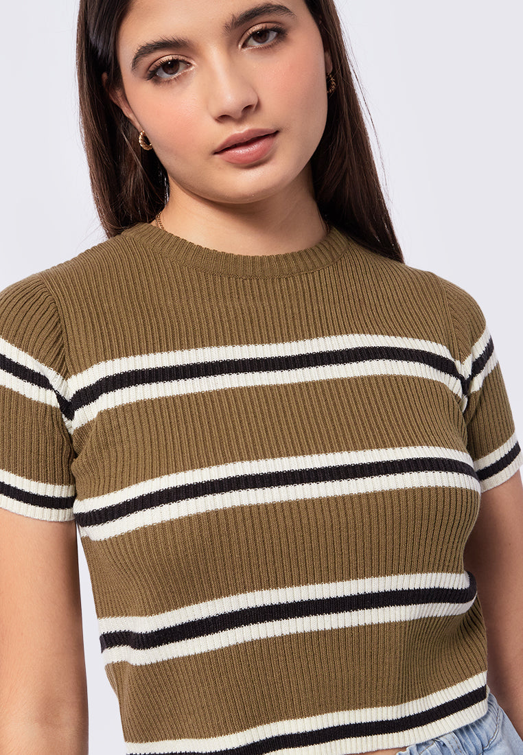 Short Sleeve Striped Crop Top