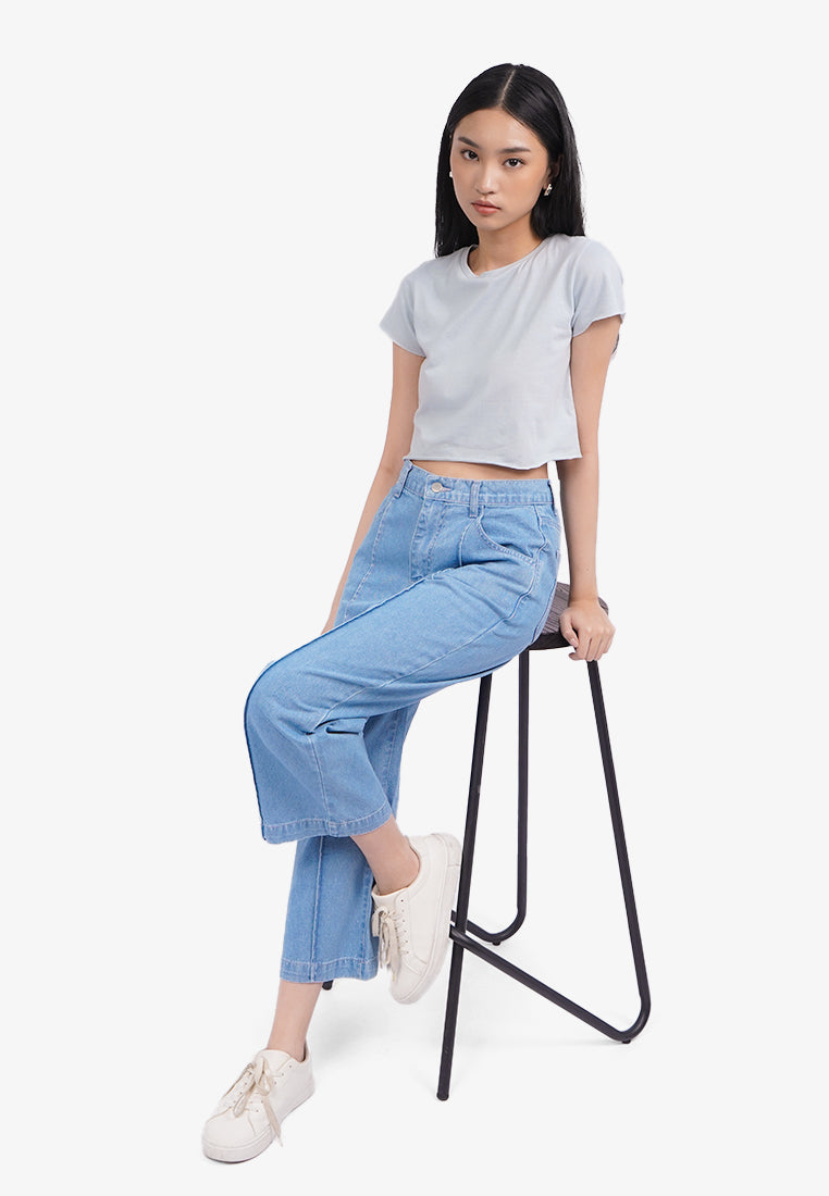 Short Sleeve Basic Crop T-Shirt Blue